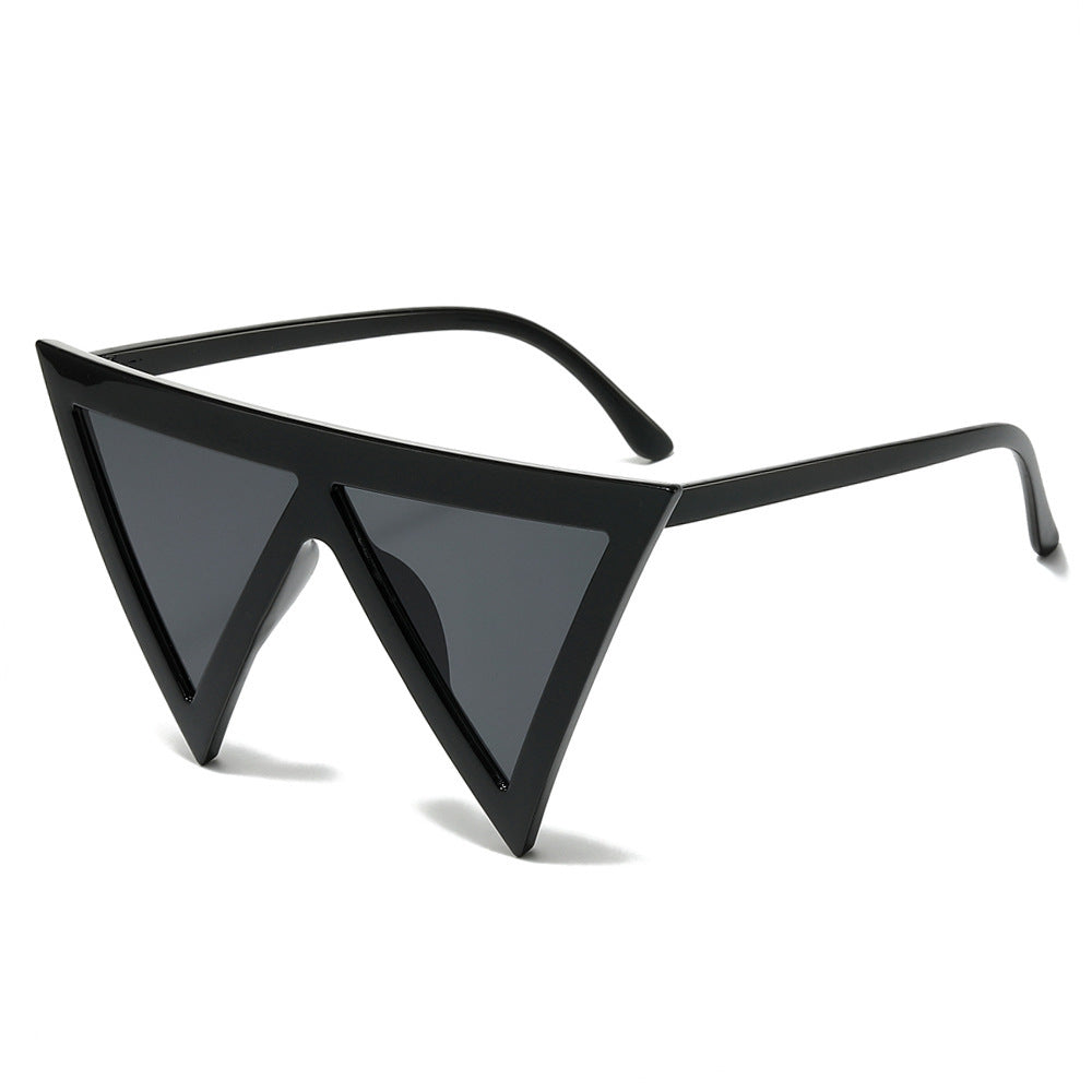 Bold Triangular Frame Sunglasses Stornfield