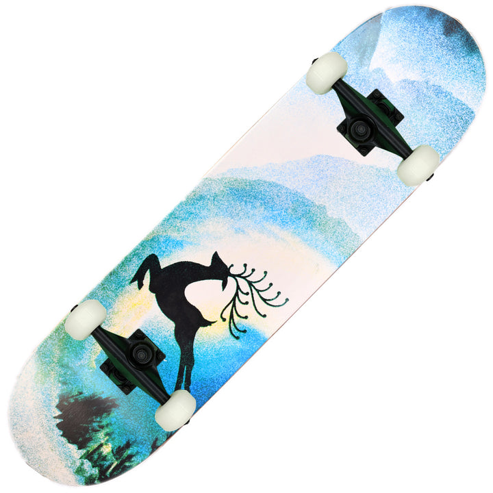 Skateboard Stornfield
