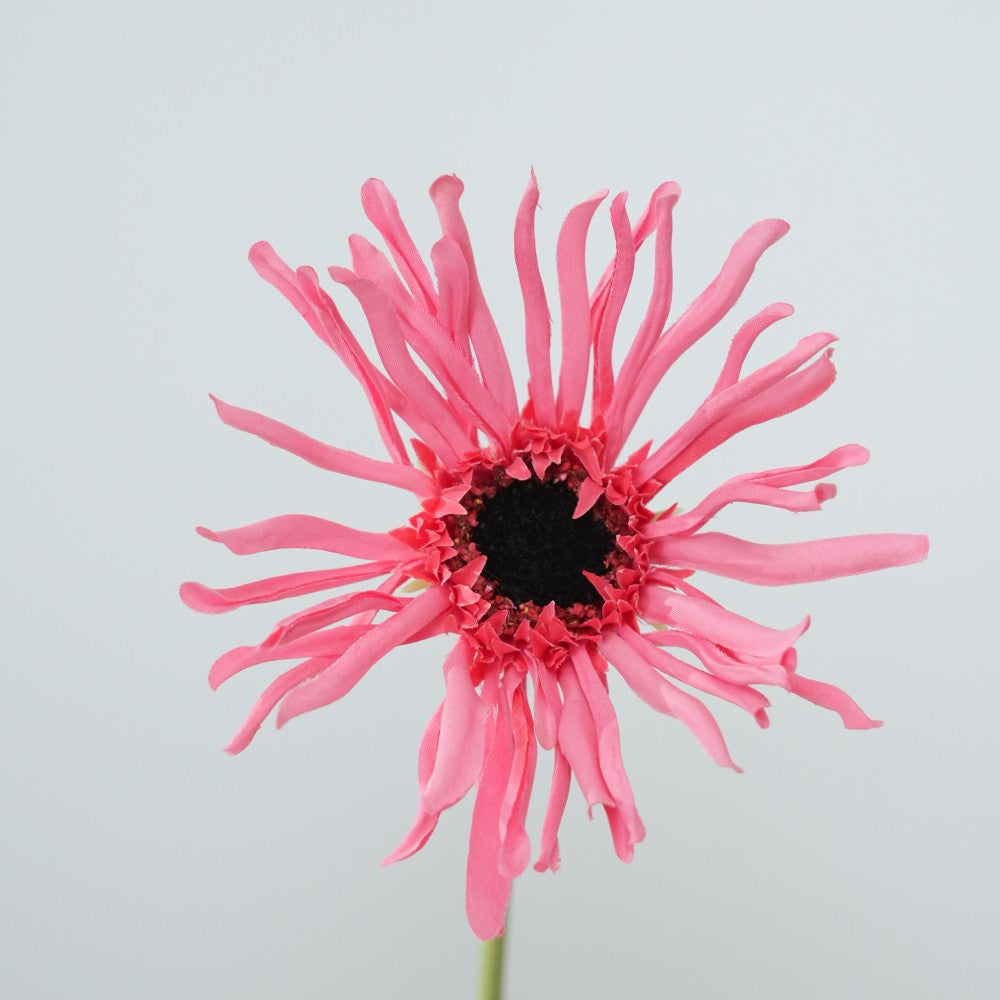 Realistic Sunflower Stem