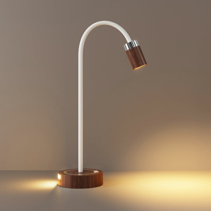 Versatile LED Sensor Lamp