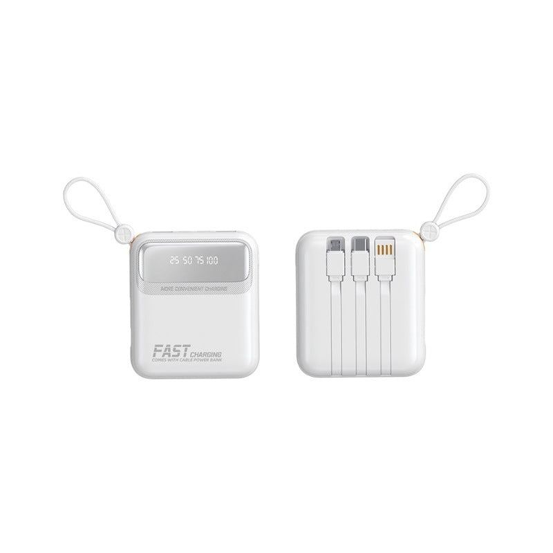 Portable power bank with integrated cables and multifunctional charging port Stornfield