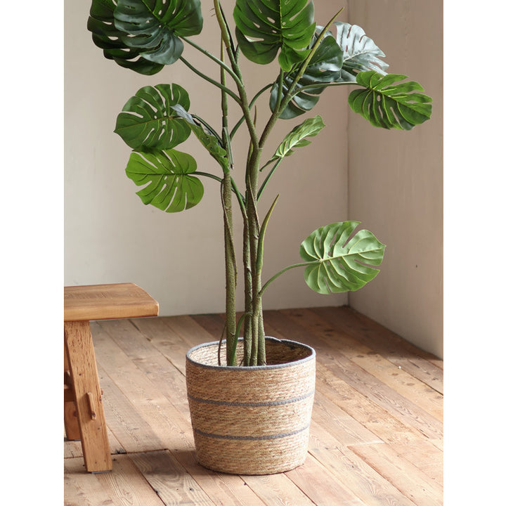 Plant basket Stornfield