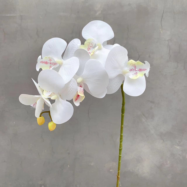 Realistic Artificial Orchid Stem