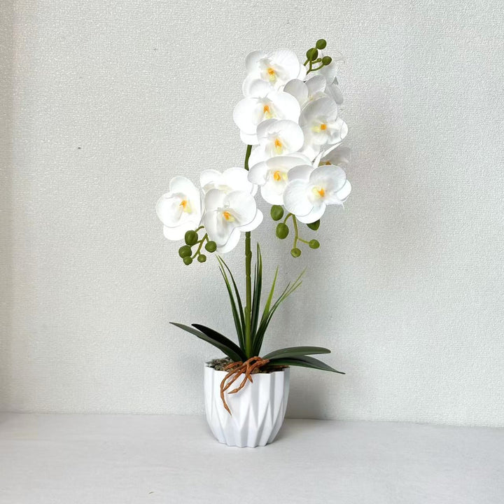 Lifelike Orchid Decorative Plant