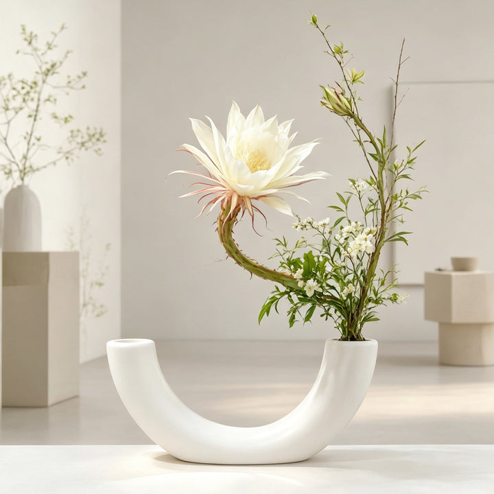 Contemporary Curved Dual-Vase Stornfeild