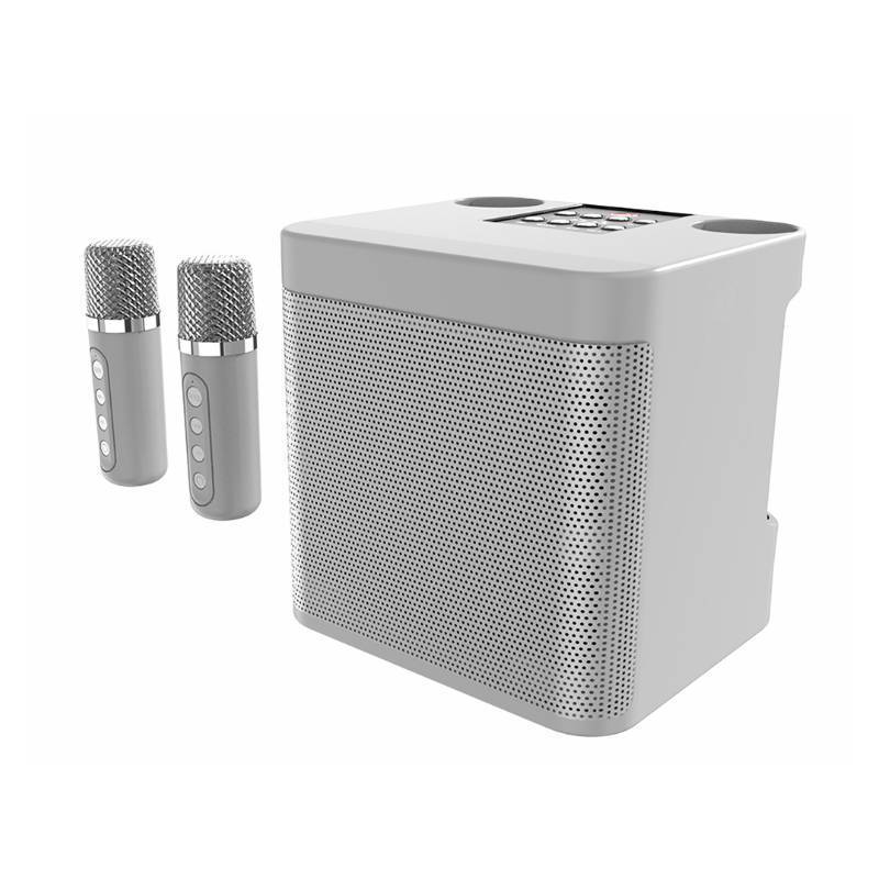 Wireless Karaoke Speaker System with Dual Microphones Stornfield