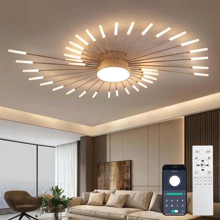 Starburst Ceiling Light