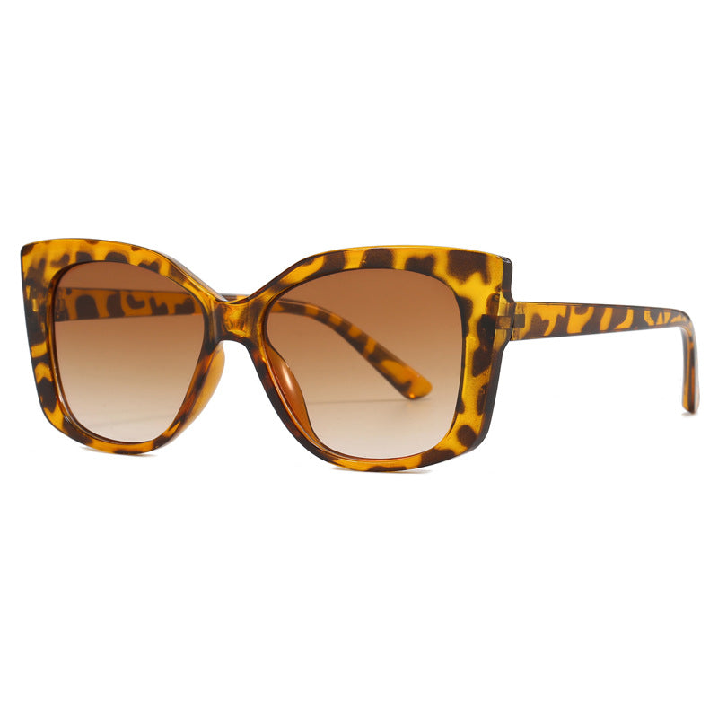Women's Fashion Cat-Eye Sunglasses with Modern Design Stornfield