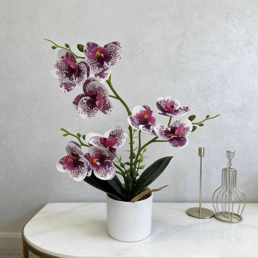 Decorative Orchid for Home Decor Display