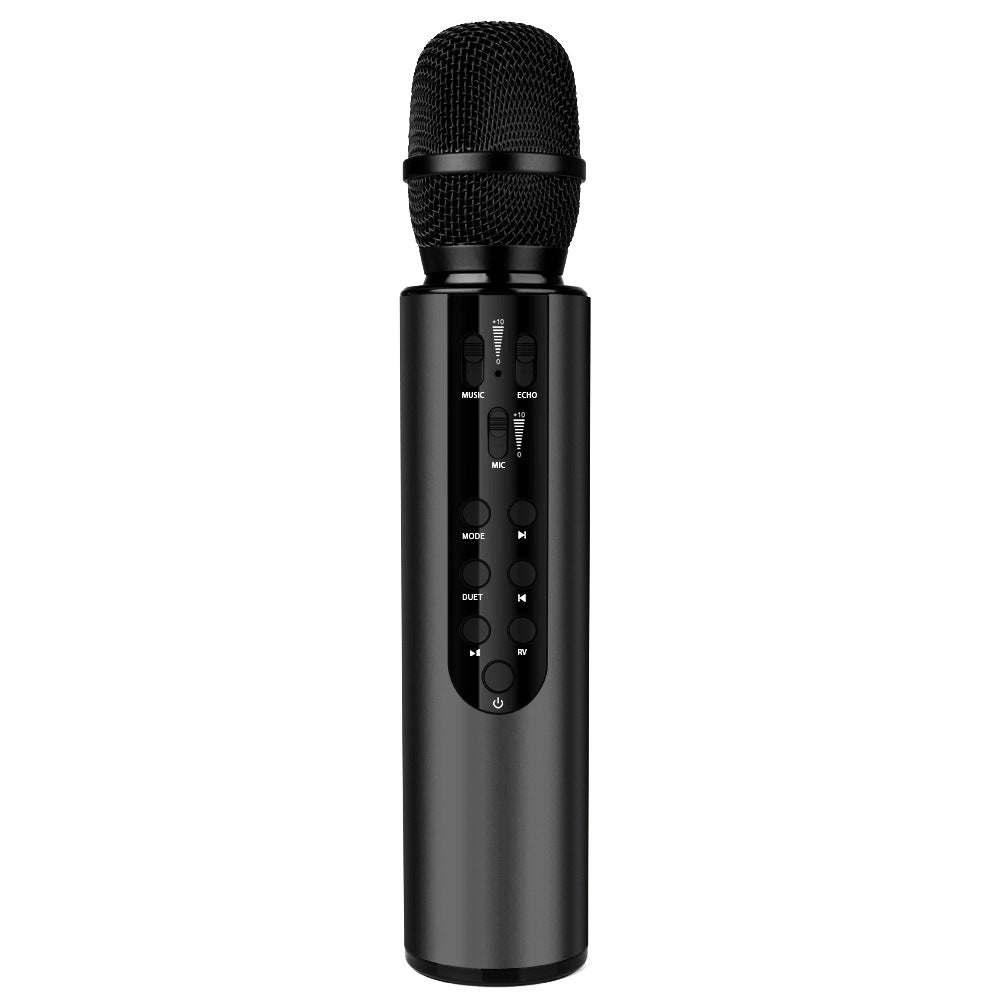 Wireless Karaoke Microphone with Echo Control Stornfield