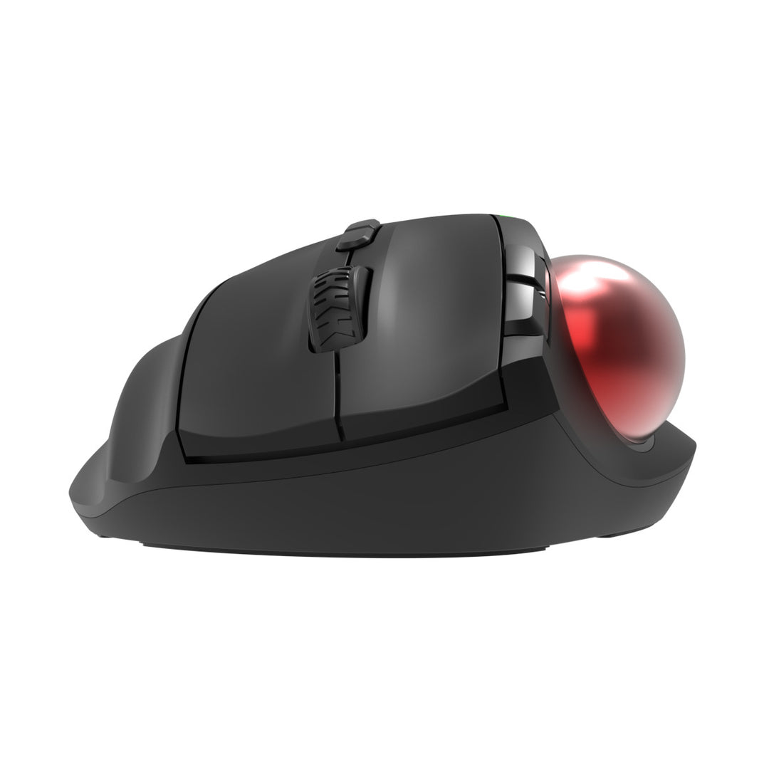 Ergonomic Funk Mouse Stornfield