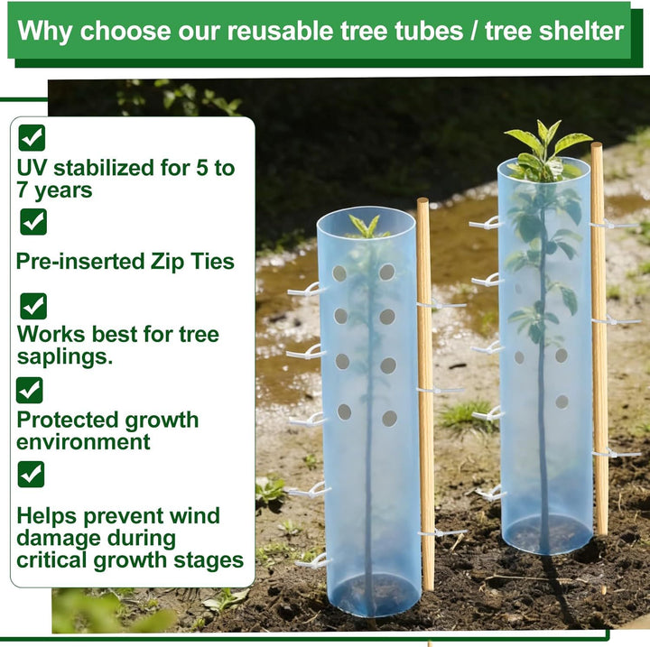 Tree Shelter Stornfield