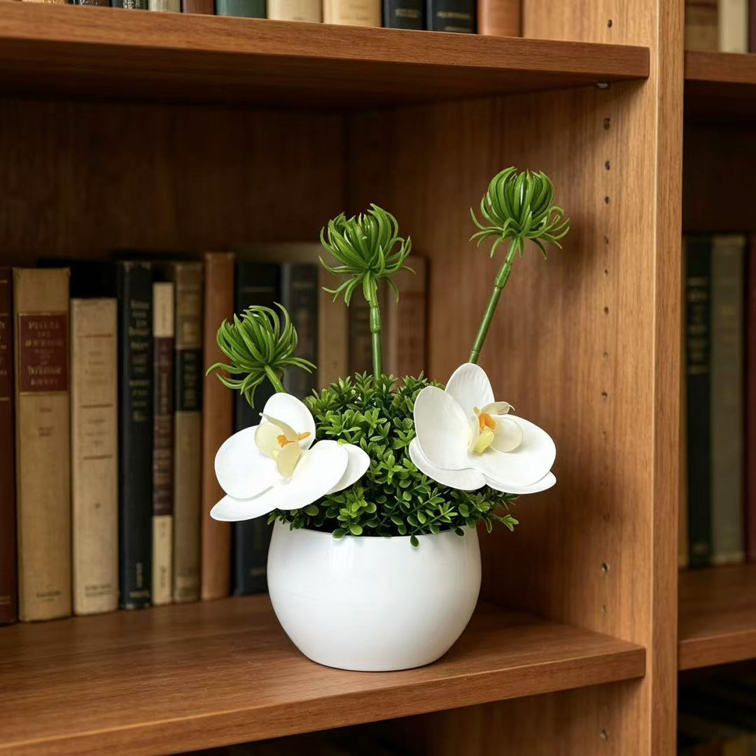Decorative Orchid and Green Plant Arrangement