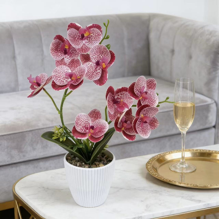 Artificial Orchid for Home Decor and Indoor Display