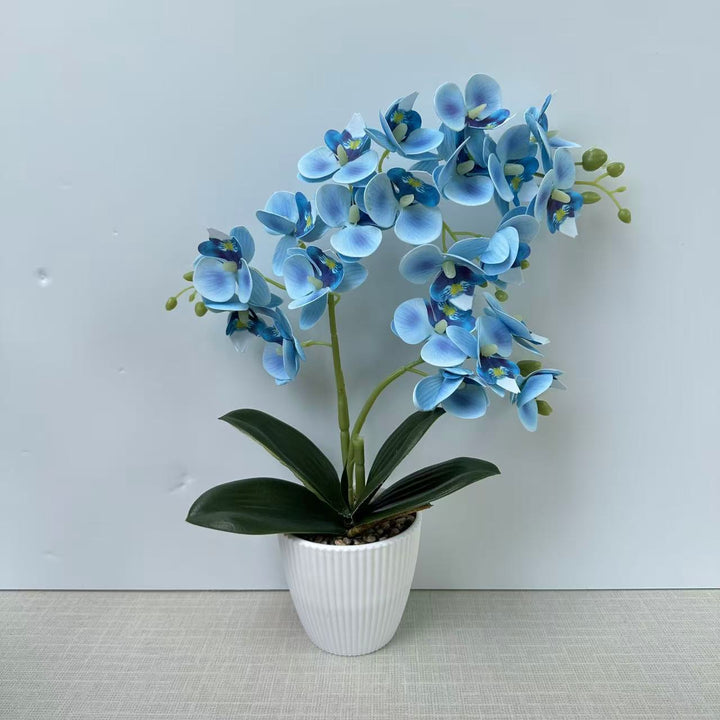 Lifelike Orchid Floral Arrangement