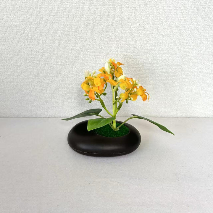 Elegant Decorative Potted Orchid for Indoor Home Decor