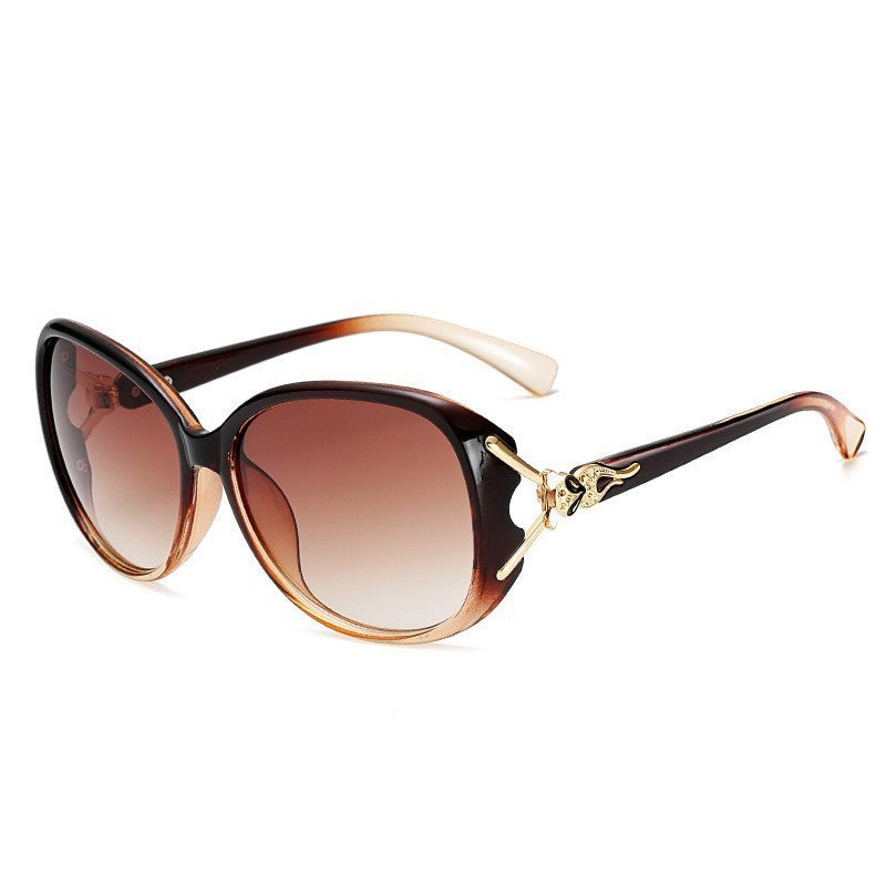 Women Premium Sunglasses with Elegant Accents Stornfield