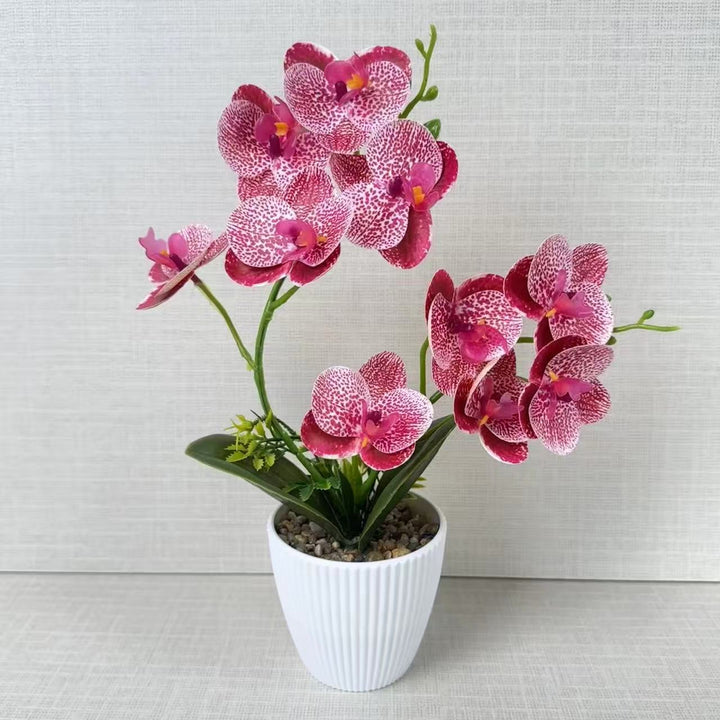 Artificial Orchid for Home Decor and Indoor Display