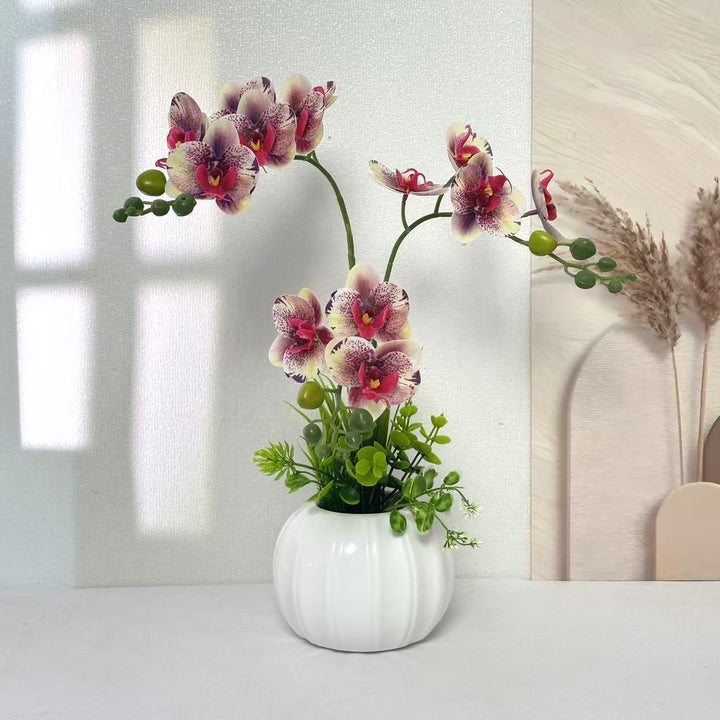 Decorative Orchid Arrangement
