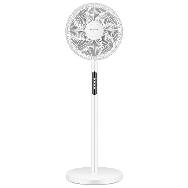 Ladies Stand Fan Stornfield