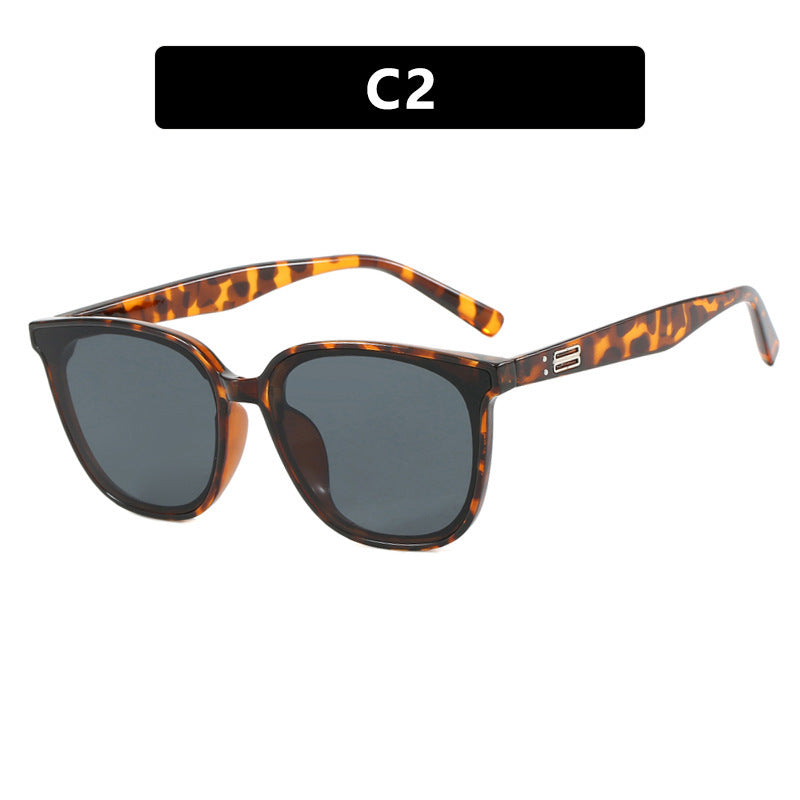 Ladies elegant sunglasses with trendy transparent frame Stornfield