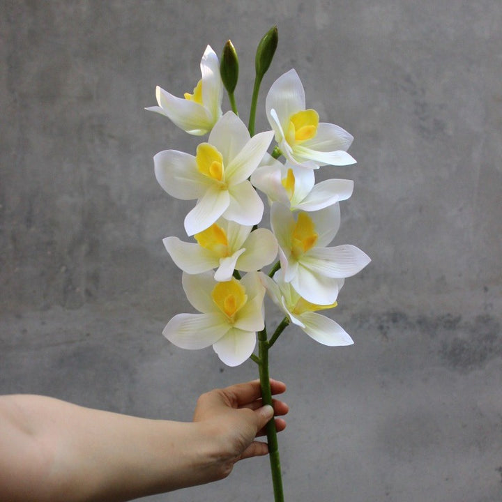 Decorative Orchid