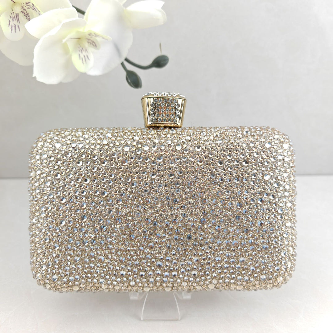 Sparkling Evening Clutch