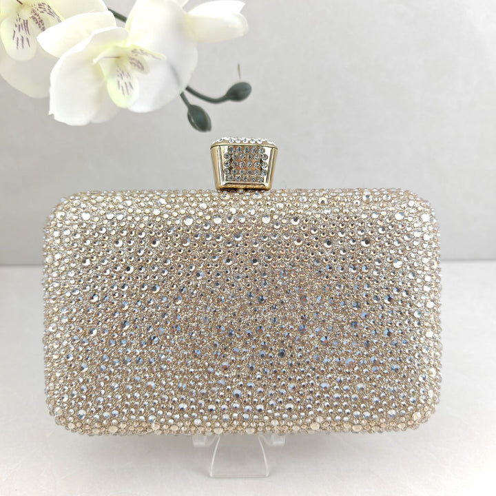Sparkling Evening Clutch