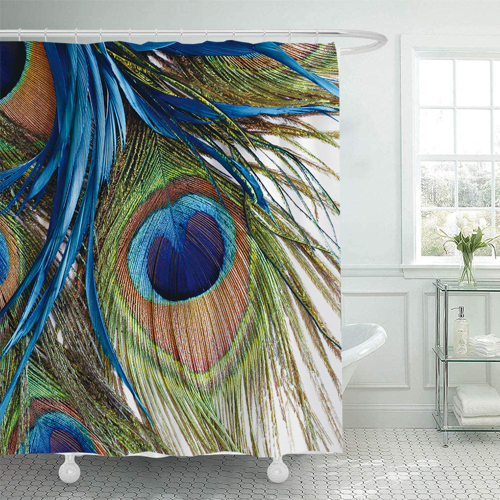 Artistic Peacock Feather Shower Curtain Stornfield