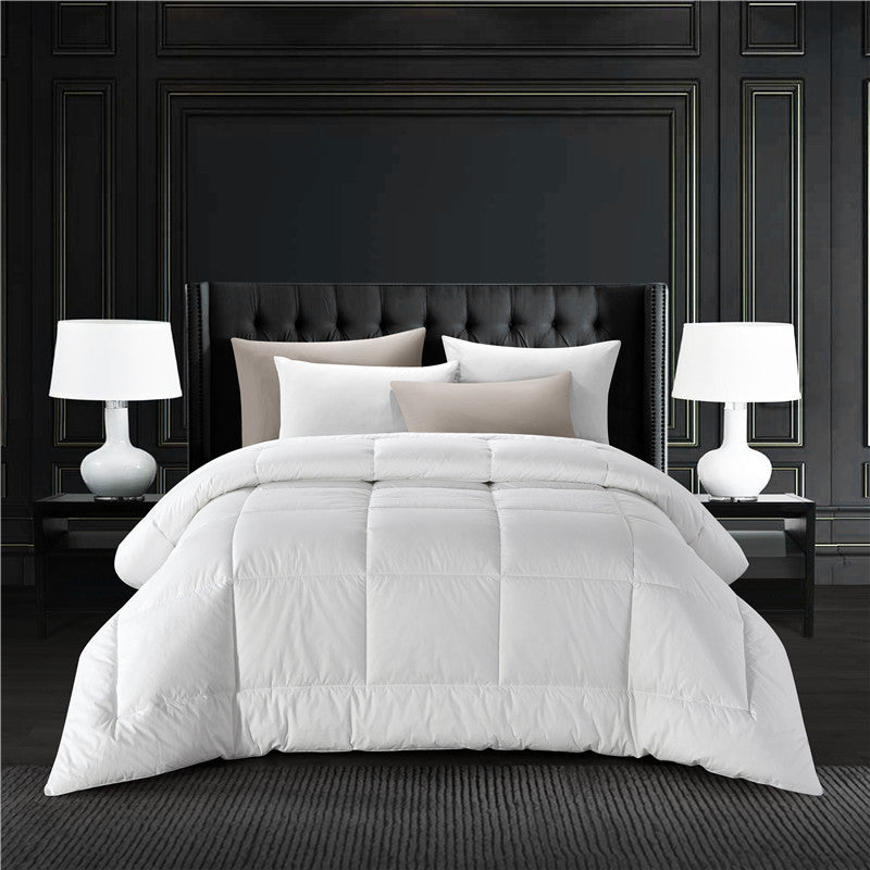 Premium Hypoallergenic Down Alternative Comforter Stornfield