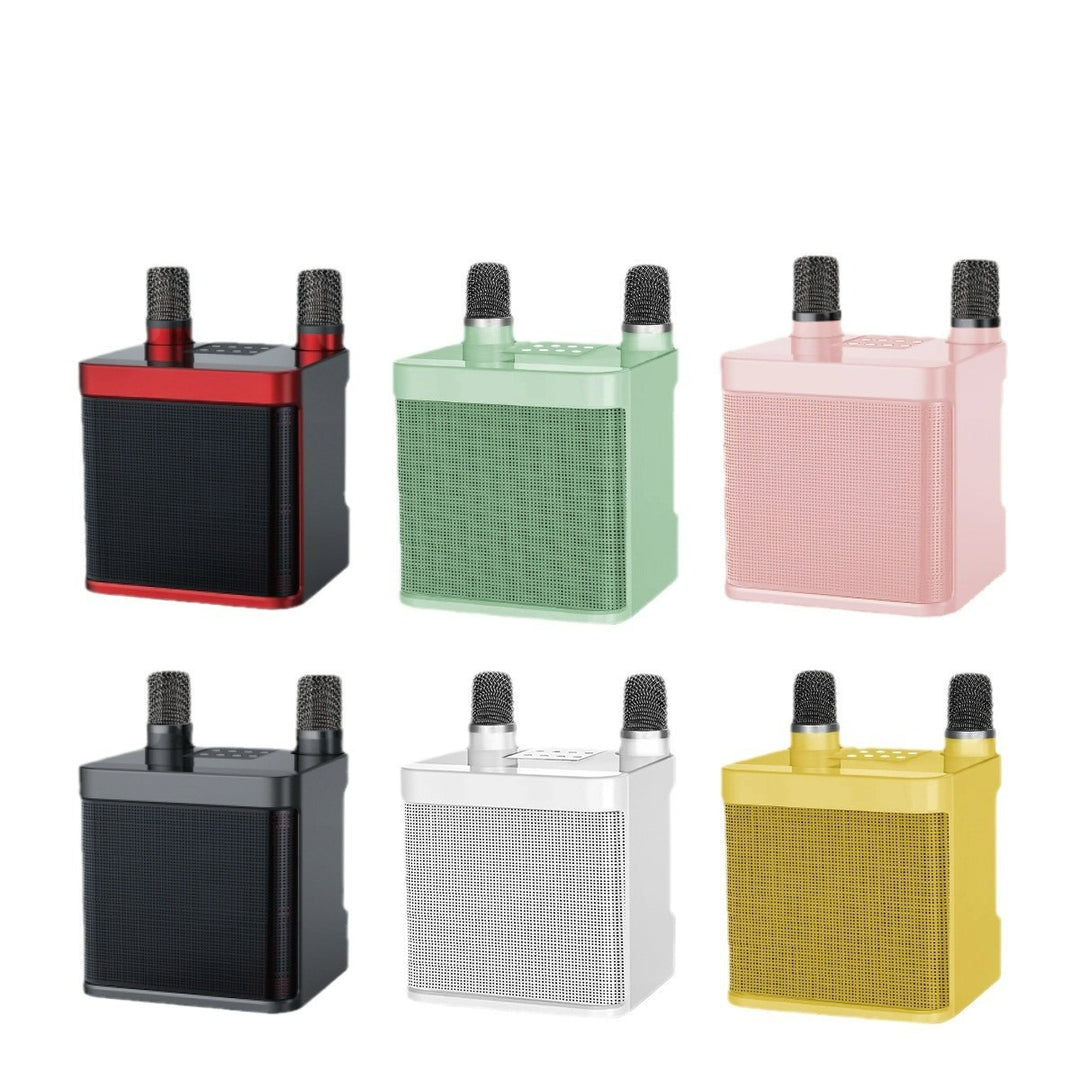 Portable Karaoke Speaker System Stornfield