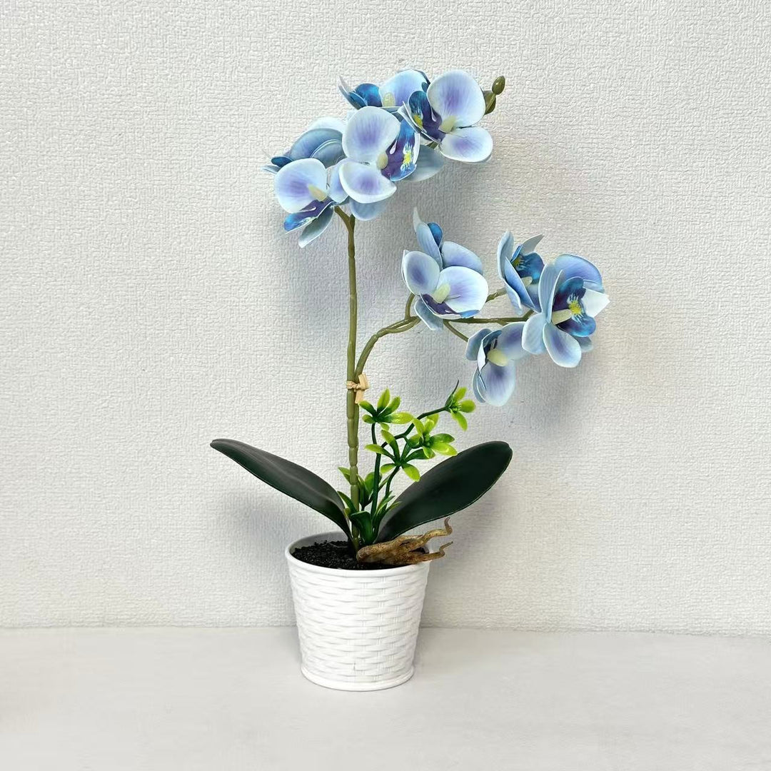 Artificial Orchid Arrangement for Decorative Indoor Display