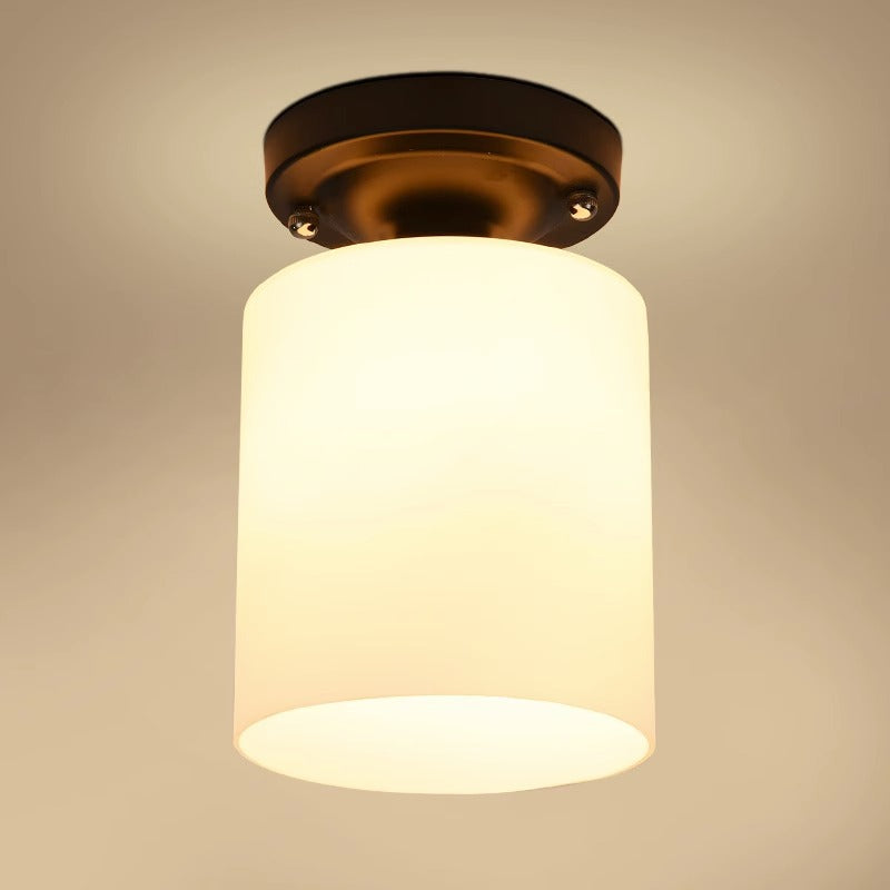 Modern Flush Mount Ceiling Light