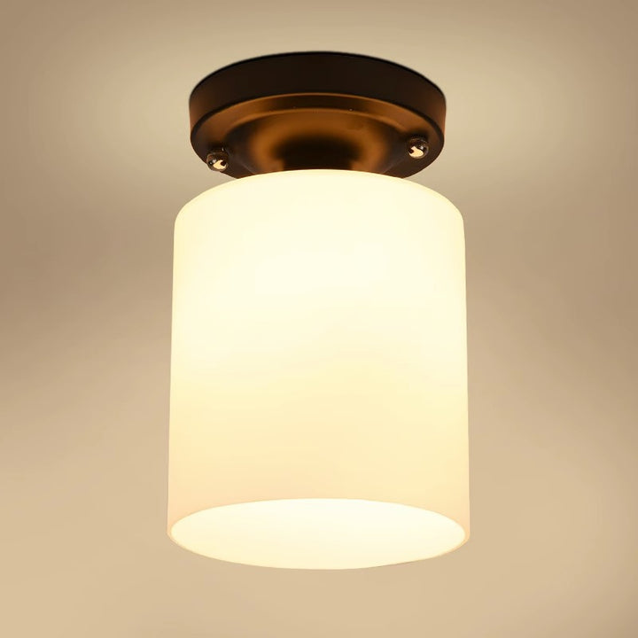 Modern Flush Mount Ceiling Light