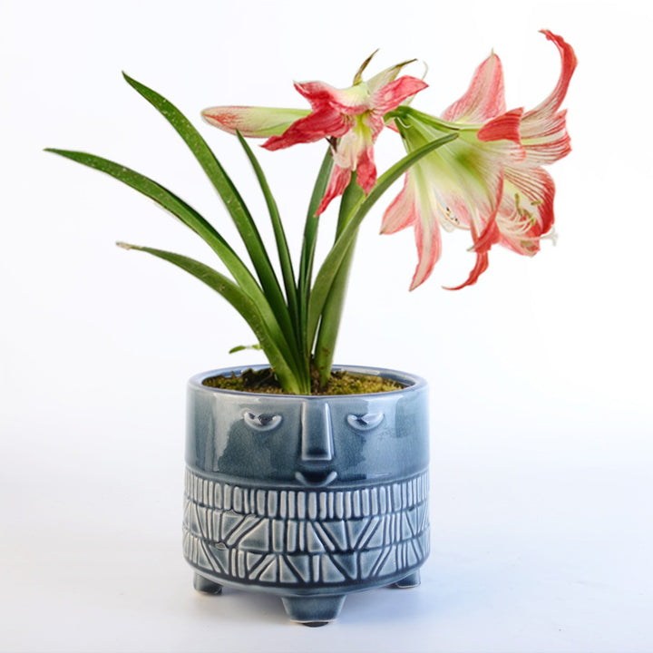 Decorative plant pot with facial features Stornfield
