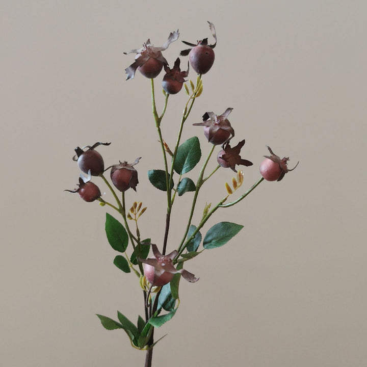 Decorative Natural Dried Floral Stem