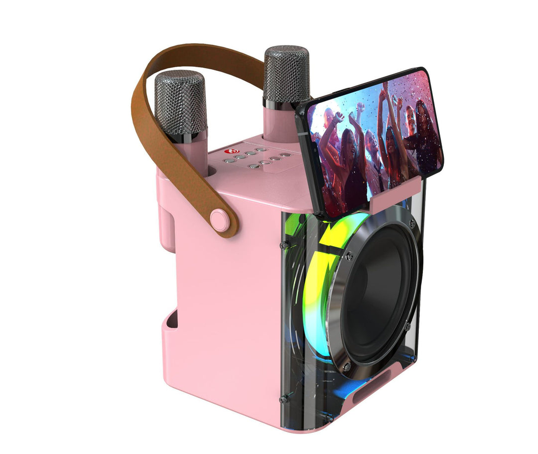 Karaoke Speaker System with Dual Microphones Stornfield