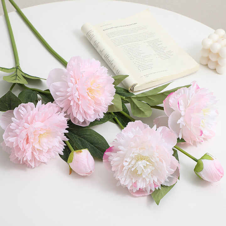 Realistic Art Peony