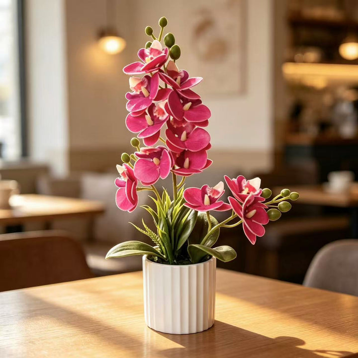 Realistic Indoor Orchid Plant Arrangement