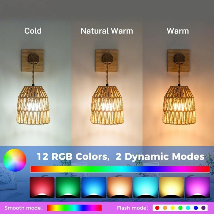 Chic Modern Wall Sconce