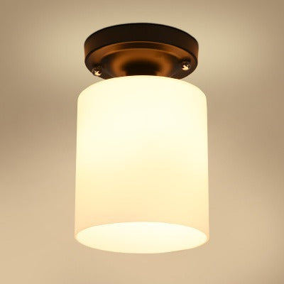 Modern Flush Mount Ceiling Light