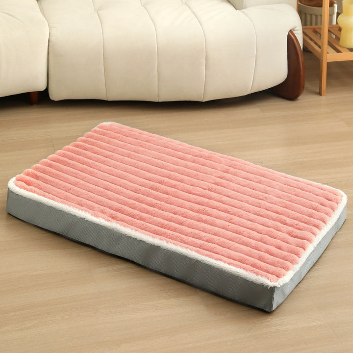 Dog lying surface Stornfield