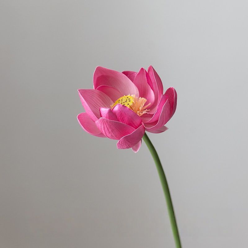 Realistic Lotus Flower Arrangement