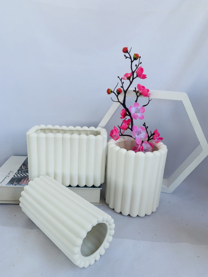 Decorative Plant Stornfeild