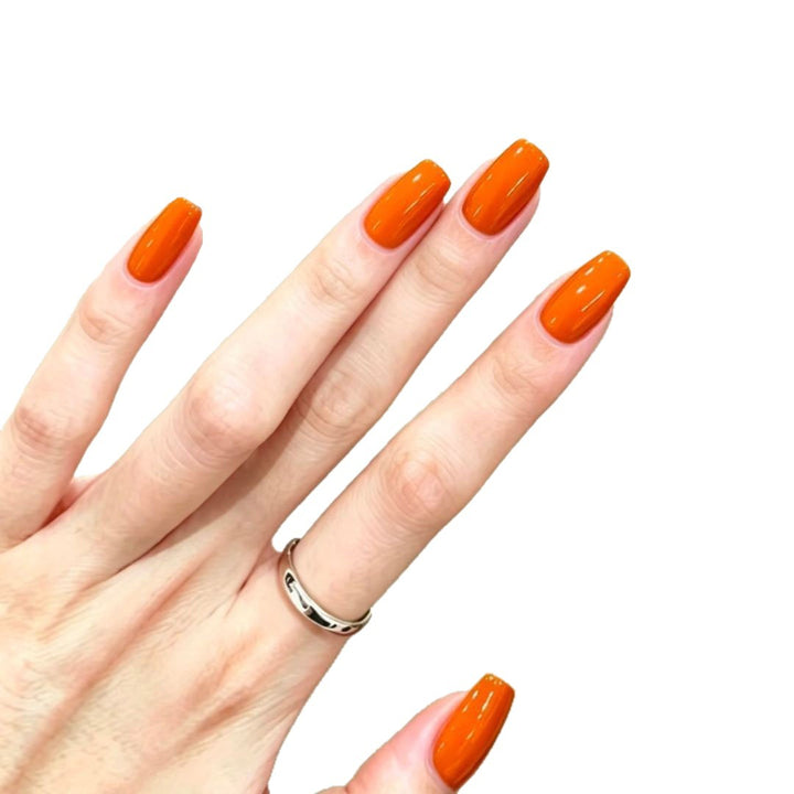 Glossy Press-On Nail Extensions Stornfield