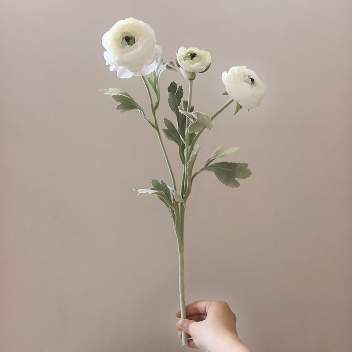 Realistic Ranunculus Floral Stem