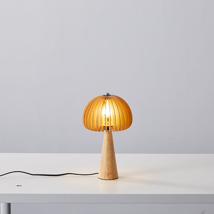 Modern Decorative Table Lamp with Wooden Base
