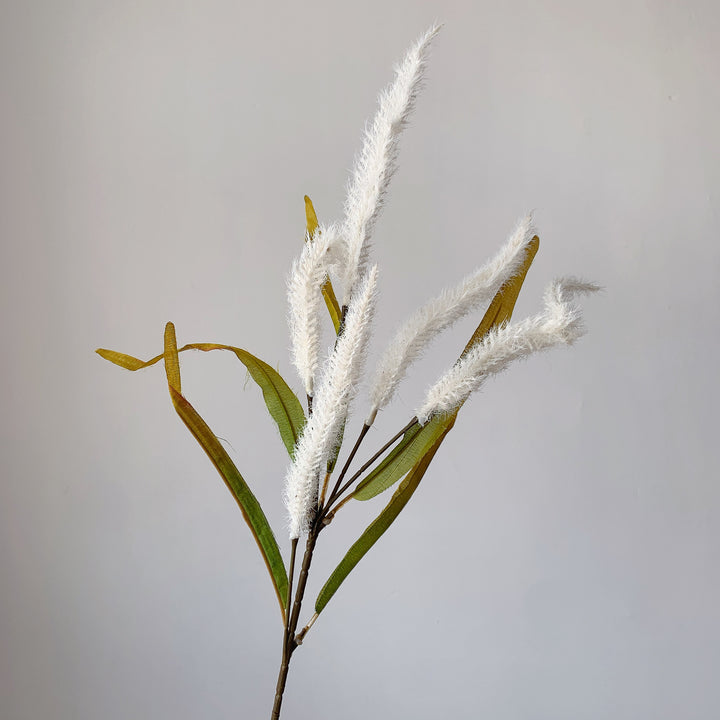 Decorative Pampas Grass Stem