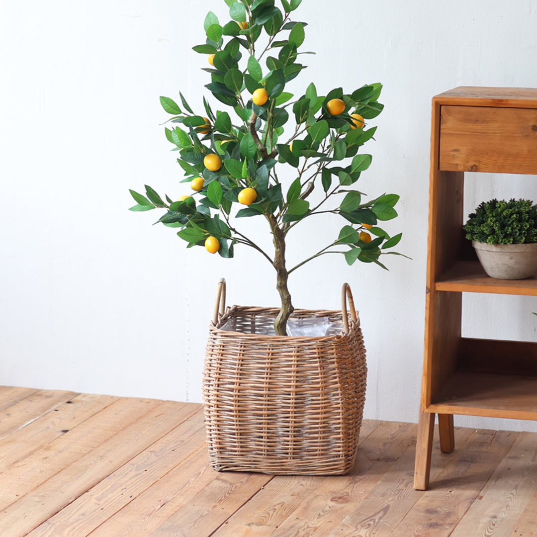 Basket with Handles Stornfield