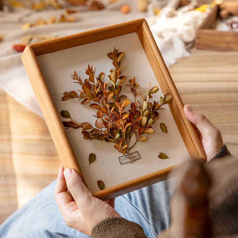 Preserved Botanical Art Frame for Home Decor